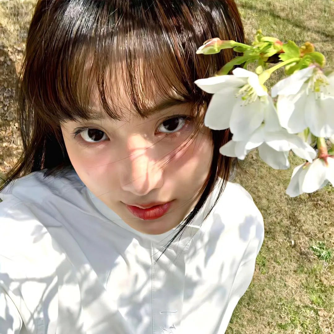 薰衣草的香